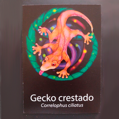 Print A6 Gecko crestado
