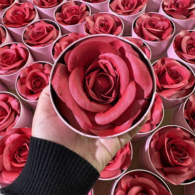 Rubor Rosa 3D