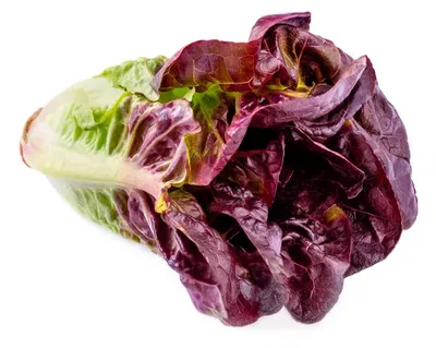 Lechuga Morada Agroecologica x 500g