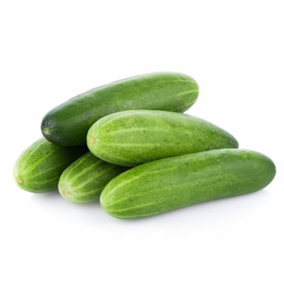 Pepino Agroecologico x 500g
