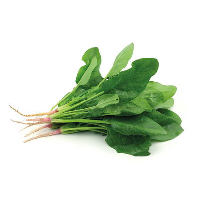Espinaca Agroecologica x paquete
