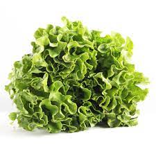 Lechuga Francesa Agroecologica x paquete