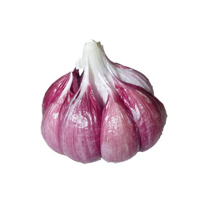 Ajo Morado Orgánico x 250g