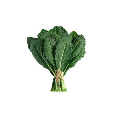 Kale Azul Dinosaurio x paquete