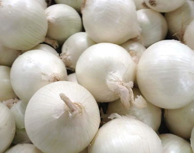 Cebolla Blanca Orgánica Promo x kilo