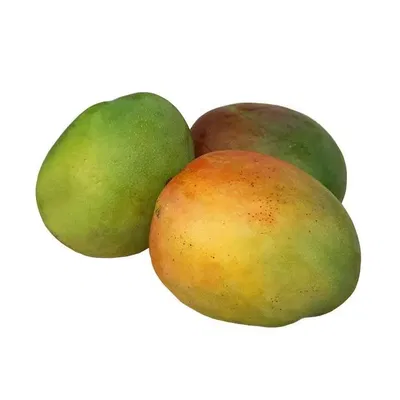 Mango Agroecológico x 500g