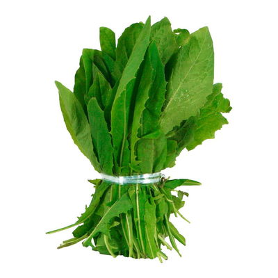 Achicoria Agroecológica x paquete