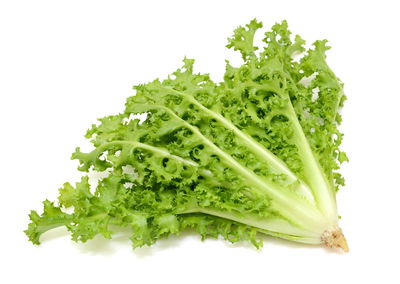 Escarola Fina Agroecologica x 500g
