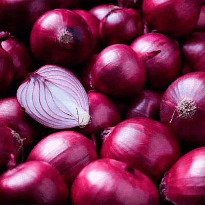Cebolla Morada Organica Promo x Kilo