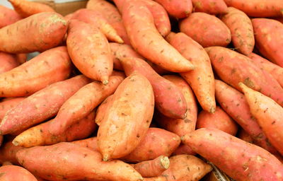 Batata Buena Boniato Agroecologica Promo x kilo