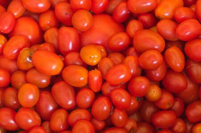 Tomate Cherry Agroecologico Promo x 1Kg