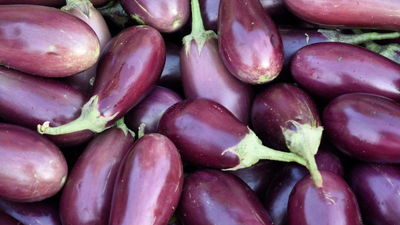 Berenjena Agroecologica Promo x kilo