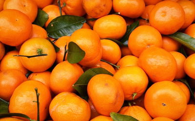 Mandarina Nova Agroecologica Promo x kilo
