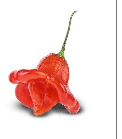 Aji Campanita Agroecologico x 500g
