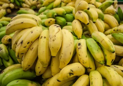 Banana Organica Promo x kilo