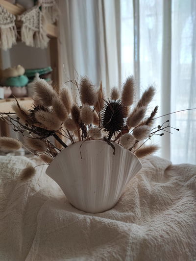 Florero Ostra sin flores (EXCLUSIVO)