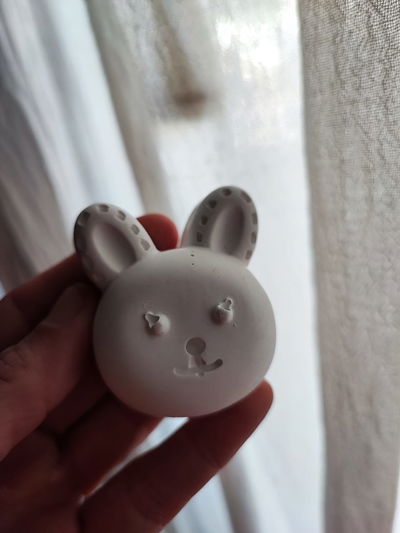 cabeza de conejo