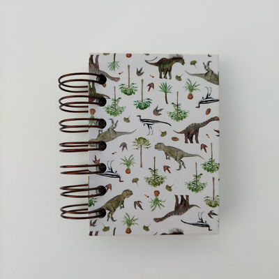 Cuaderno pequeñito anillado Dinos