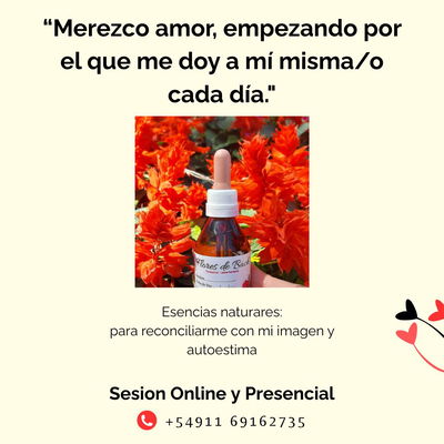 Flores de Bach un camino de autoconocimiento -online