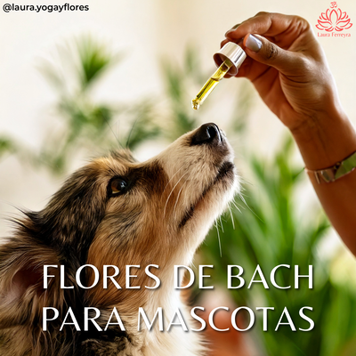 Flores de Bach para mascotas