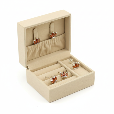 aros prodigio plata 925