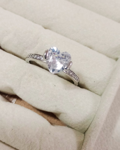 Anillo lvo acero
