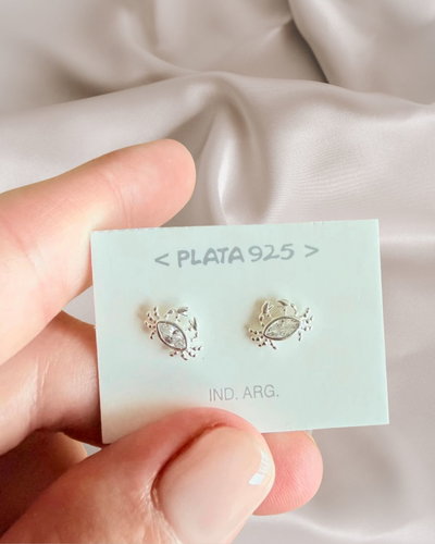 aros pasante congreso plata 925