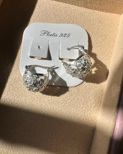 Argollas delfi