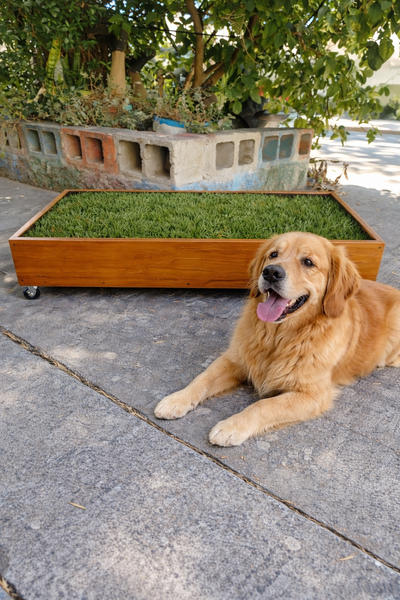 Bandeja Sanitaria para Césped Natural - Grande