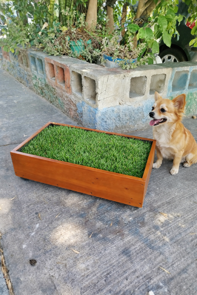 Bandeja Sanitaria para Césped Natural - Chica