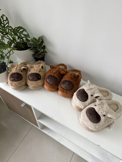 PANTUFLAS CAPIBARA CARPINCHO