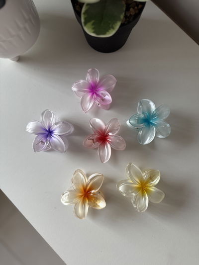 BROCHE grande x1 FLOR HAWAIANA
