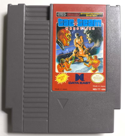 Tag Team Wrestling Game