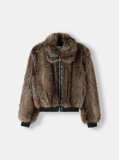 CAMPERA ZARA