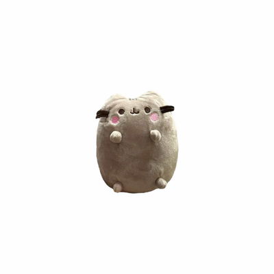 Mini Peluche Pusheen 