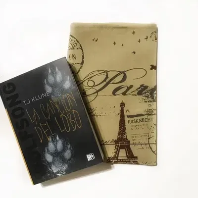 Funda para libros Paris