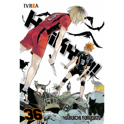 PREVENTA - HAIKYU!! 36 - HARUICHI FURUDATE