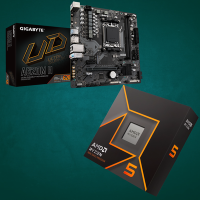 Combo Ryzen 5 9600x + A620M