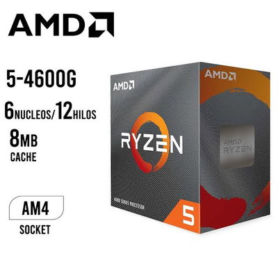 Ryzen 5 4600g + A520M-A PRO Msi