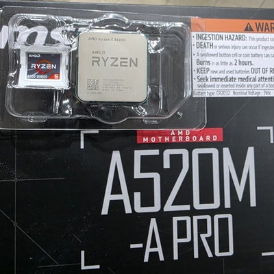 Ryzen 5 5600G + A520M-A PRO
