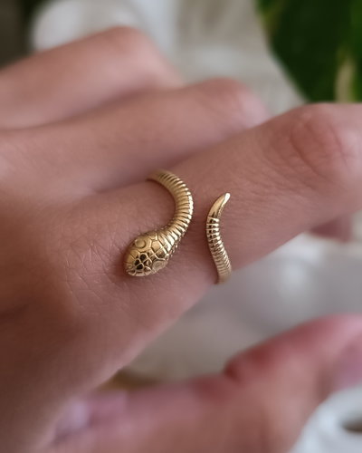 Anillo Chunky 6 AD