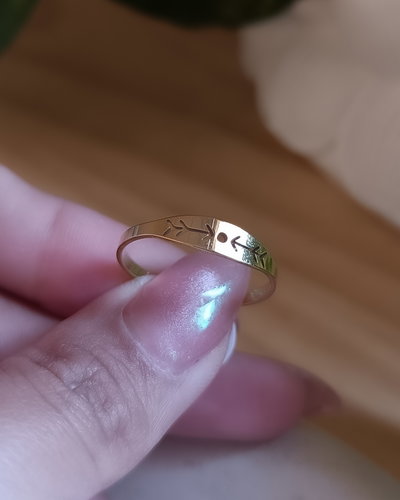 Anillo flechas AD