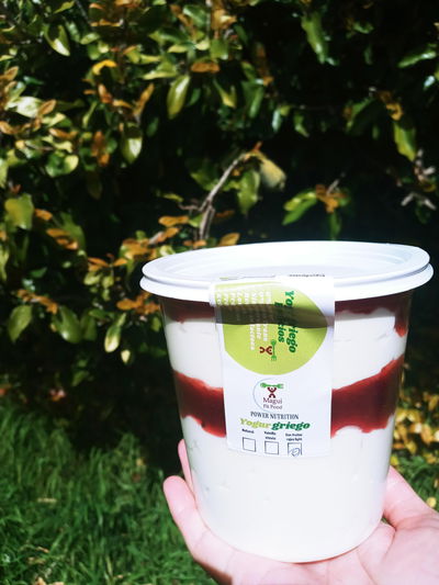 Yogur Griego x 850gr  con Dulce Light