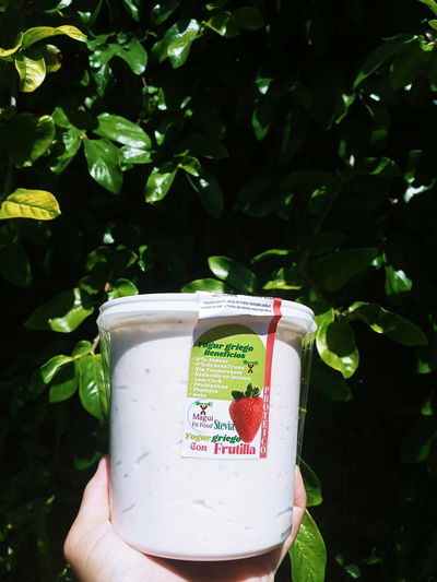 Yogur Griego batido x 850gr