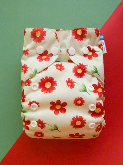 Pañal ecológico "Flores silvestres" multitalle ted de pul importado