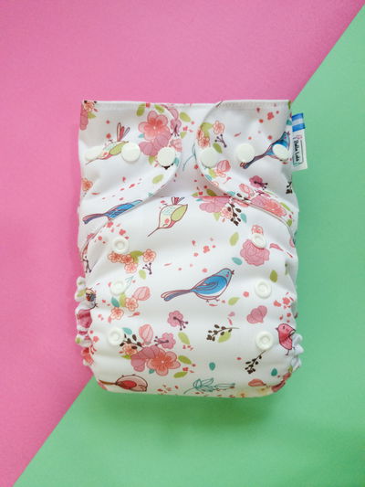 Pañal ecológico "Pajaritos" multitalle ted de pul importado