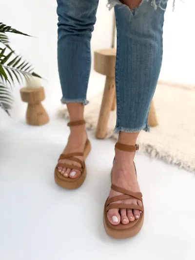 Marruecos (3 Colores)