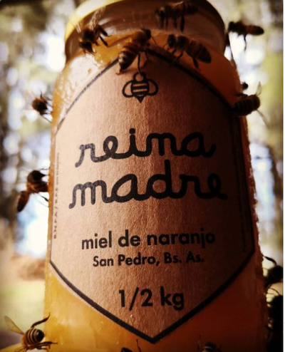 Miel Pura de Naranjo x 500 gr