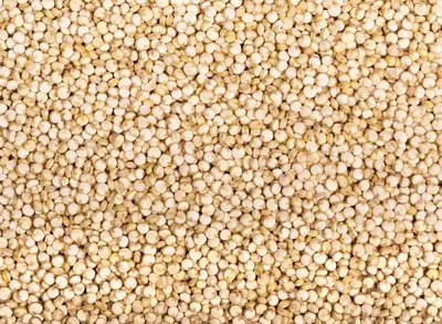 Quinoa orgánica, prelavada, 500 gr