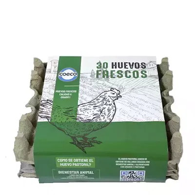 MAPLE DE HUEVOS PASTORILES COECO (30 unid)